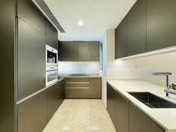 Cairnhill Nine (D9), Apartment #466579991